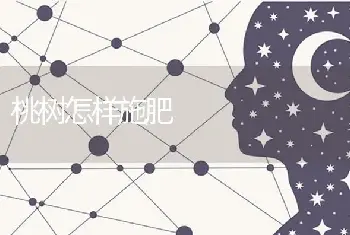 桃树怎样施肥