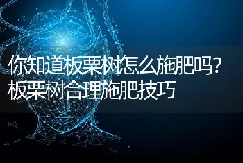 你知道板栗树怎么施肥吗？板栗树合理施肥技巧