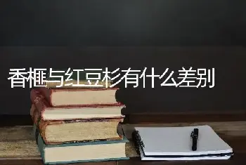 香榧与红豆杉有什么差别