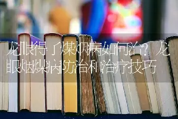 龙眼得了煤烟病如何治？龙眼烟煤病防治和治疗技巧