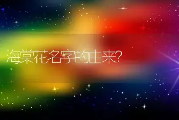 海棠花名字的由来？