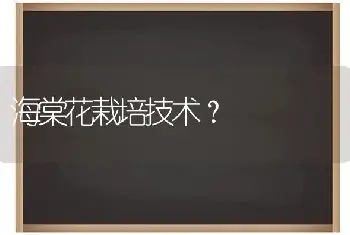 海棠花栽培技术？