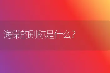 海棠的别称是什么？