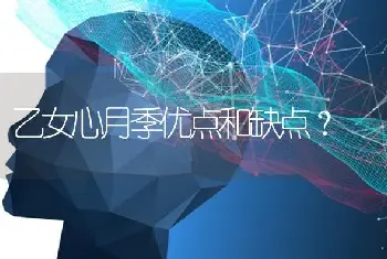 乙女心月季优点和缺点？