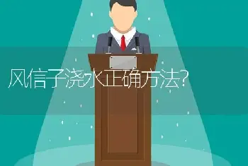 风信子浇水正确方法？