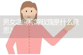 男女之间称呼玫瑰是什么意思？