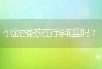 郁金香能放在行李箱里吗？