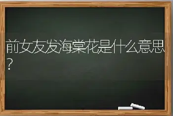 前女友发海棠花是什么意思？