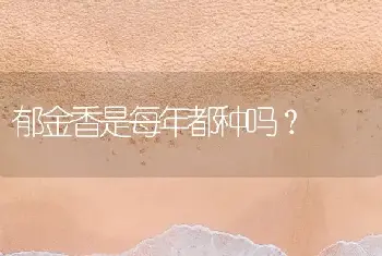 郁金香是每年都种吗？