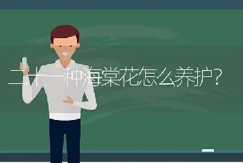 二十一种海棠花怎么养护？