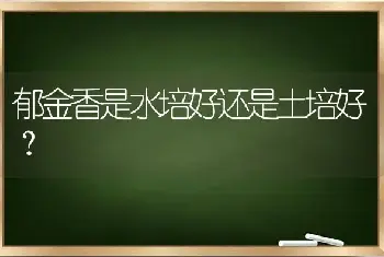 郁金香是水培好还是土培好？