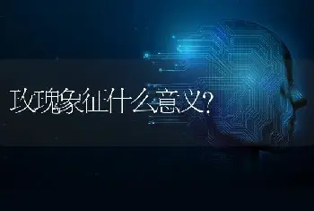 玫瑰象征什么意义？