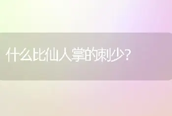 什么比仙人掌的刺少？