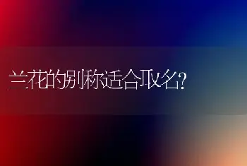 兰花的别称适合取名？