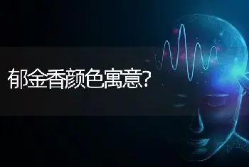 郁金香颜色寓意？