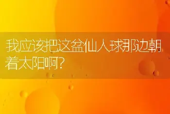 我应该把这盆仙人球那边朝着太阳啊？