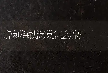 虎刺梅铁海棠怎么养？