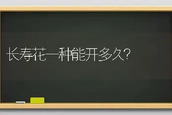 长寿花一种能开多久？