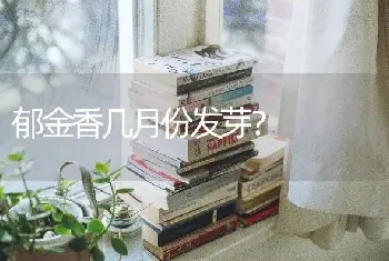 不同颜色的玫瑰的名字？