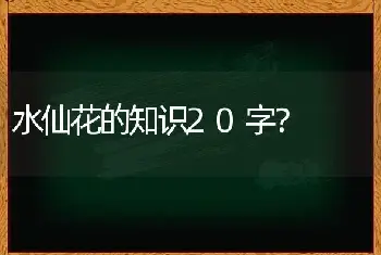 水仙花的知识20字？