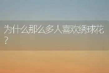 为什么那么多人喜欢绣球花？