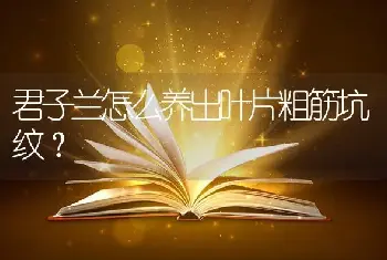 君子兰怎么养出叶片粗筋坑纹？