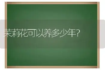 茉莉花可以养多少年？