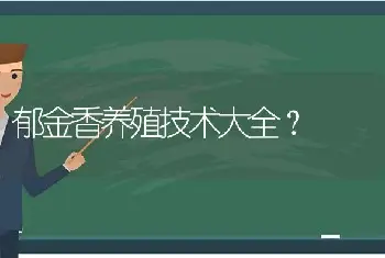 郁金香养殖技术大全？