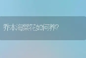 纱织绣球花的养殖方法和注意事项？