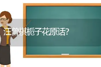 汪曾祺栀子花原话？