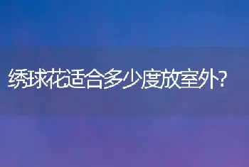 绣球花适合多少度放室外？