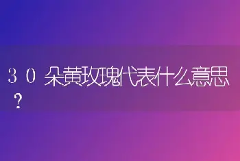 30朵黄玫瑰代表什么意思？