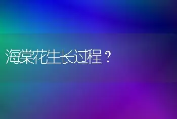 海棠花生长过程？