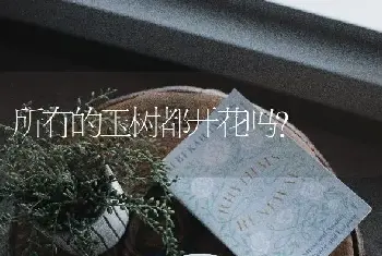 所有的玉树都开花吗？