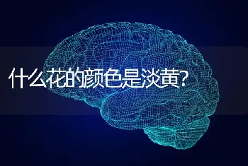 什么花的颜色是淡黄？