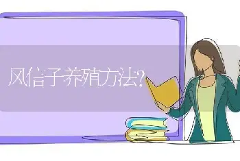 风信子养殖方法？