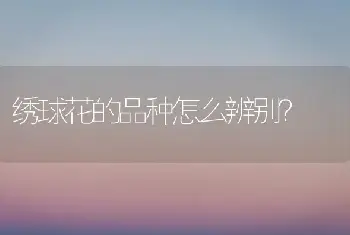 绣球花的品种怎么辨别？