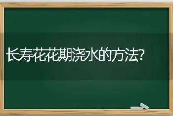 长寿花花期浇水的方法？