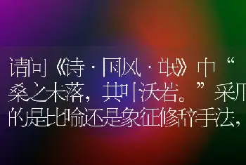 请问《诗·国风·氓》中“桑之未落，其叶沃若。”采用的是比喻还是象征修辞手法，如何理解？