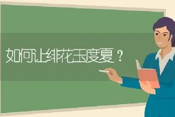 如何让绯花玉度夏？