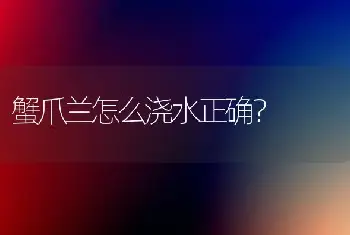 蟹爪兰怎么浇水正确？