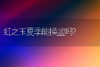 虹之玉夏季能换盆吗？