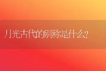 月光古代的别称是什么？