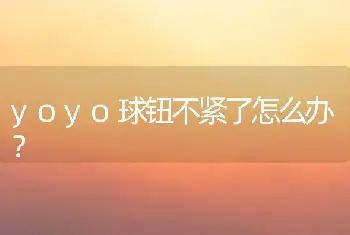 yoyo球钮不紧了怎么办？