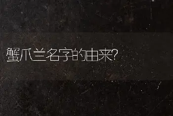 蟹爪兰名字的由来？