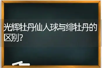 光辉牡丹仙人球与绯牡丹的区别？