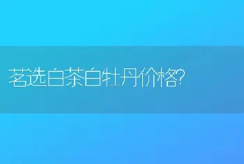 茗选白茶白牡丹价格？