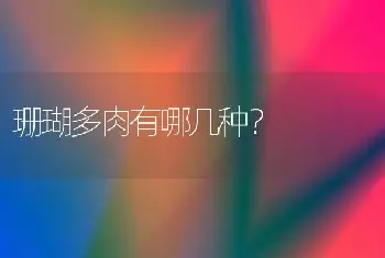 珊瑚多肉有哪几种？