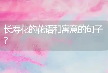 长寿花的花语和寓意的句子？