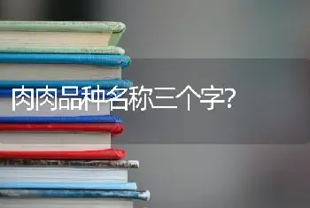 肉肉品种名称三个字？